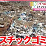 【ハワイで”異変”】日本を含むアジアからのプラスチックゴミが流れ着き…