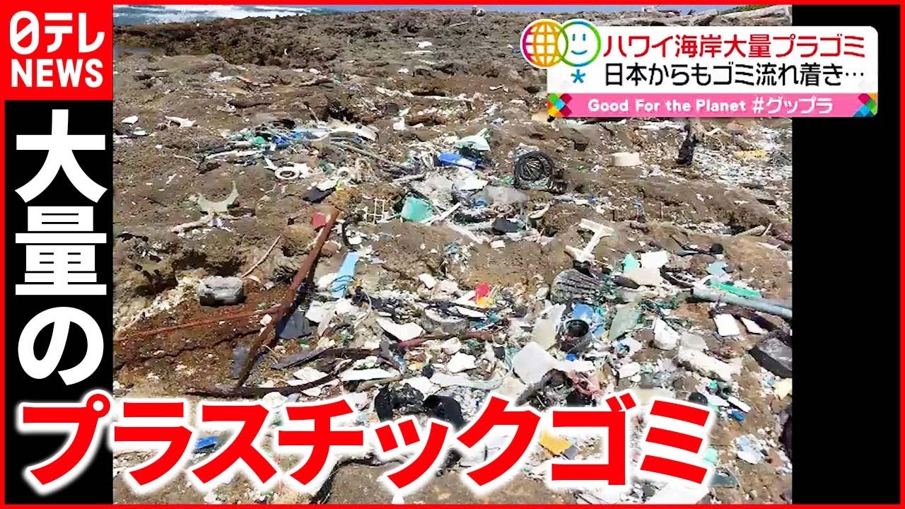 【ハワイで”異変”】日本を含むアジアからのプラスチックゴミが流れ着き…