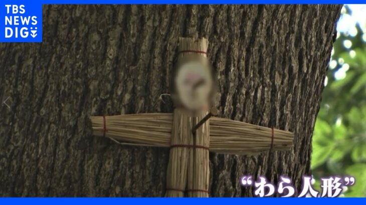 「恨みを祈願する所ではない」千葉の神社で“わら人形”五寸釘で打ちつけ『抹殺祈願』“ある人物”の顔写真も｜TBS NEWS DIG
