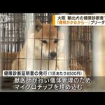 輸出犬の健康診断書“偽造”でブリーダーの男逮捕(2022年6月8日)