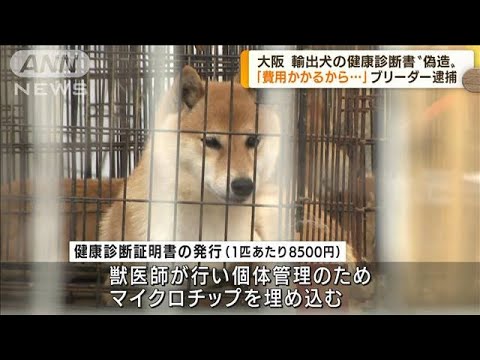 輸出犬の健康診断書“偽造”でブリーダーの男逮捕(2022年6月8日)