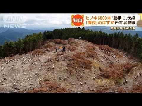 【独自】山の所有者激怒「間伐」のはずが・・・ヒノキ6000本“勝手に”伐採　災害リスクも(2022年6月8日)