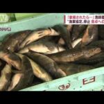 「拿捕されたら怖い」日ロ“漁業協定”停止　日本の食卓への影響と主権上の問題(2022年6月8日)