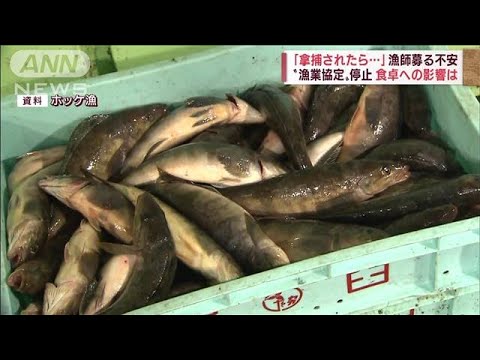 「拿捕されたら怖い」日ロ“漁業協定”停止　日本の食卓への影響と主権上の問題(2022年6月8日)
