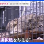 “動物に選択肢を与える”コロナで“ふれあい中止”で分かったコト…全国初の条例で変わる動物園｜TBS NEWS DIG