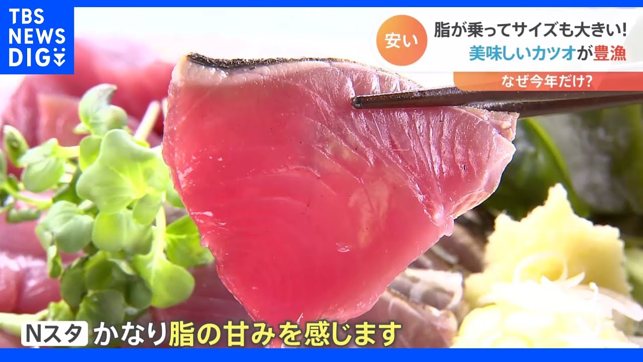 食品の値上げが相次ぐ中でカツオがうれしい“異例の豊漁”水揚げ25倍で大きく脂もノリノリとお買い得&nbsp;その理由は？｜TBS&nbsp;NEWS&nbsp;DIG