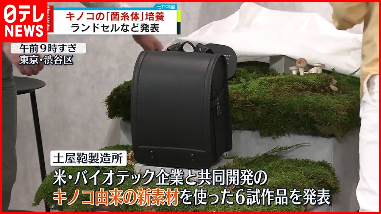 【”キノコ”由来】レザーに変わる新素材 ランドセルなど発表