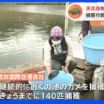 成田空港の滑走路を守れ　滑走路近くの池に住むカメ捕獲作戦｜TBS NEWS DIG