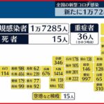 【新型コロナ】全国で1万7285人の感染 15人死亡確認