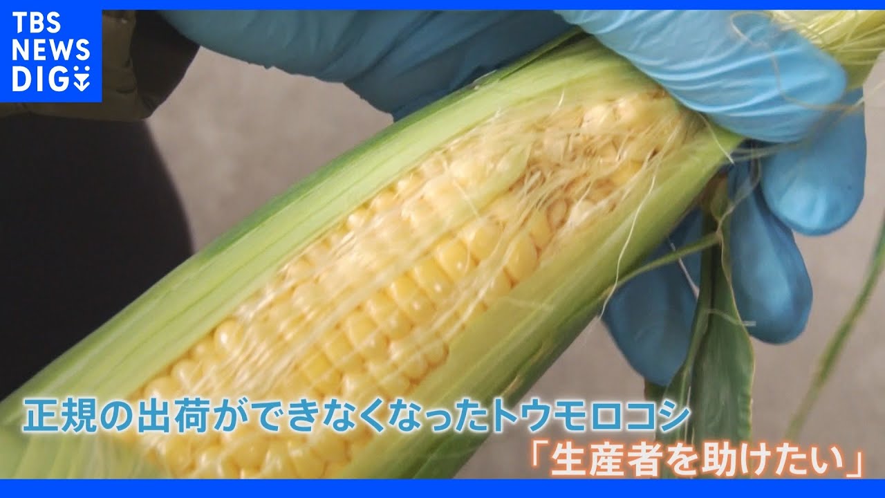 「おトクな理由は「悪天候」?“キズあり野菜”に大行列!オープン1時間で売り切れ|TBS NEWS DIG