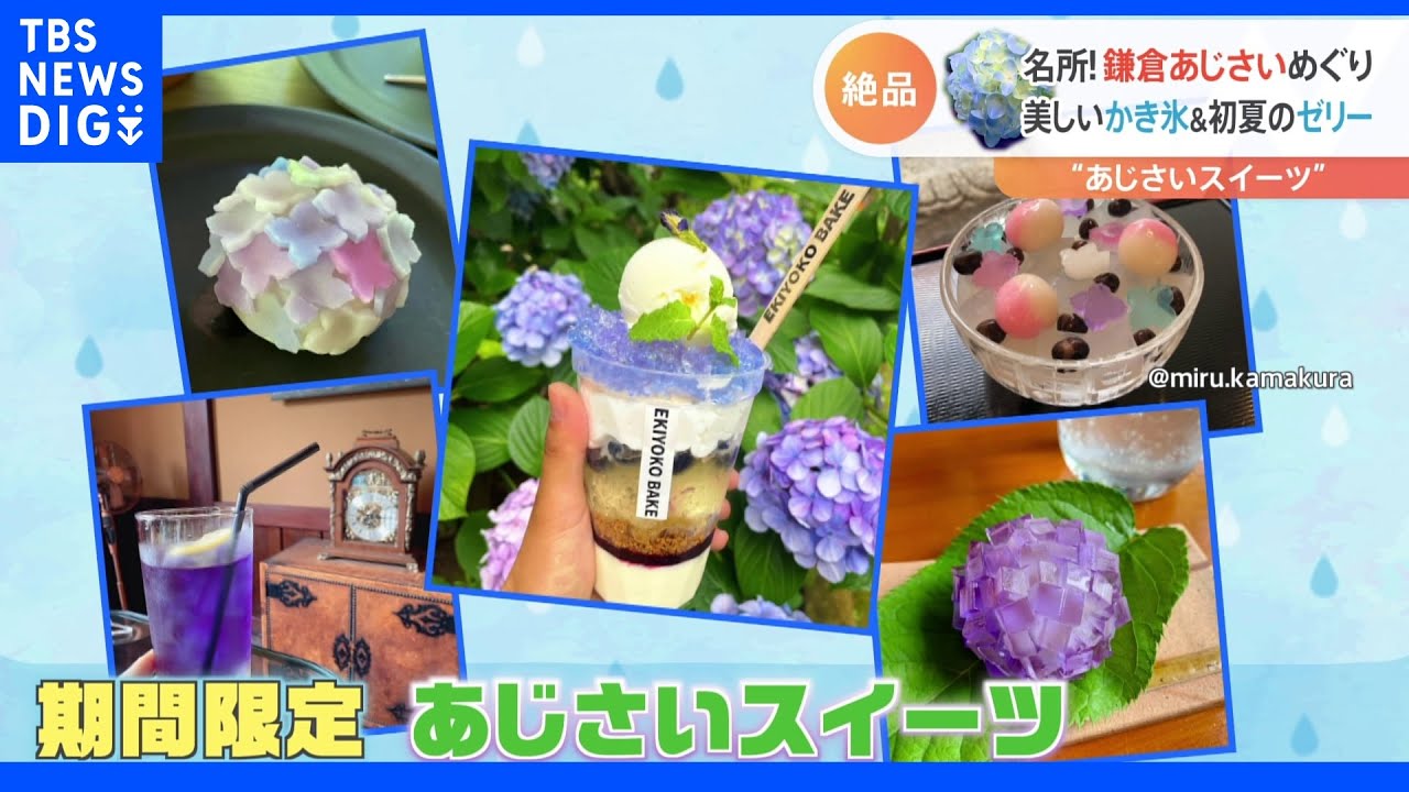 あじさいシーズン到来の鎌倉!あじさいカラーに変化する限定スイーツに。 新名物!1日1000個も売れる“大仏さまの顔“とは|TBS NEWS DIG