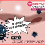 【北朝鮮】国営テレビで“コロナ情報”　ウイルスが人体に入る仕組みを解説　新型コロナウイルス