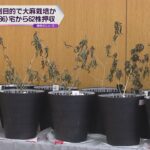 【大麻６２株を押収】営利目的で栽培か　３６歳の溶接工を逮捕　大阪