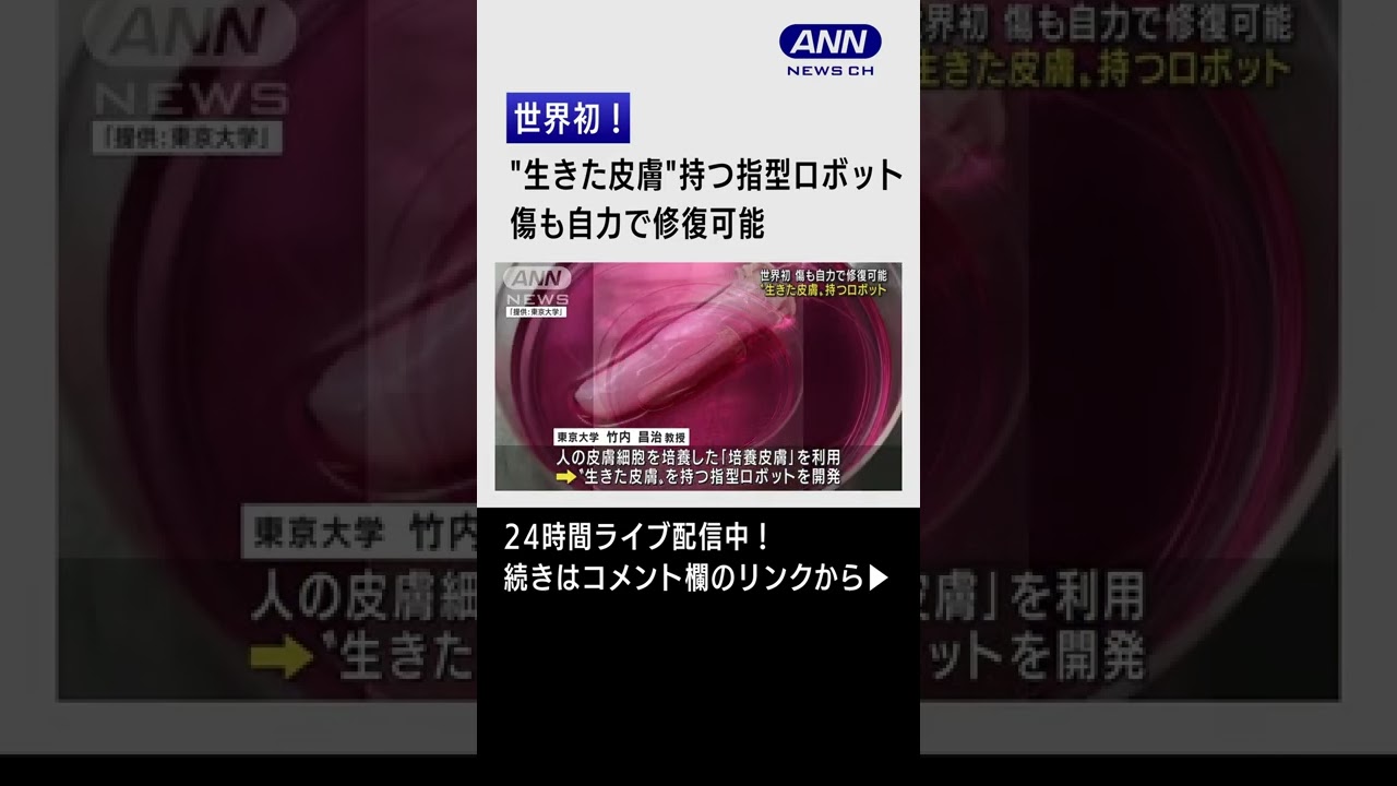 【納品】世界初！“生きた”皮膚で覆われた指型ロボット開発　傷も自力で修復可能 #Shorts