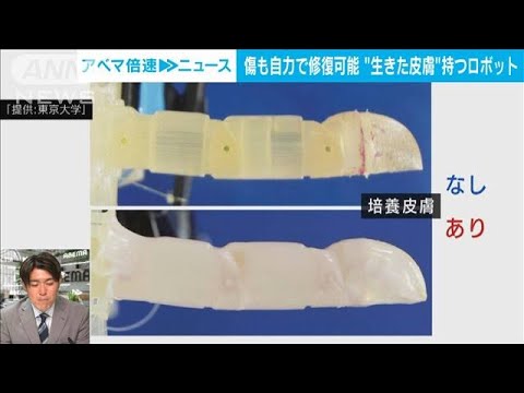 【解説】夢広がる“生きた皮膚”のロボット開発 テレビ朝日社会部 松本拓也記者(2022年6月10日)