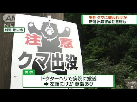 新潟県内の山道で・・・　登山中の男性がクマに襲われけが(2022年6月12日)