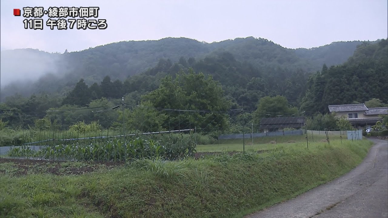 京都府綾部市　シカなどの駆除中に猟銃の弾が当たり男性（６６）死亡