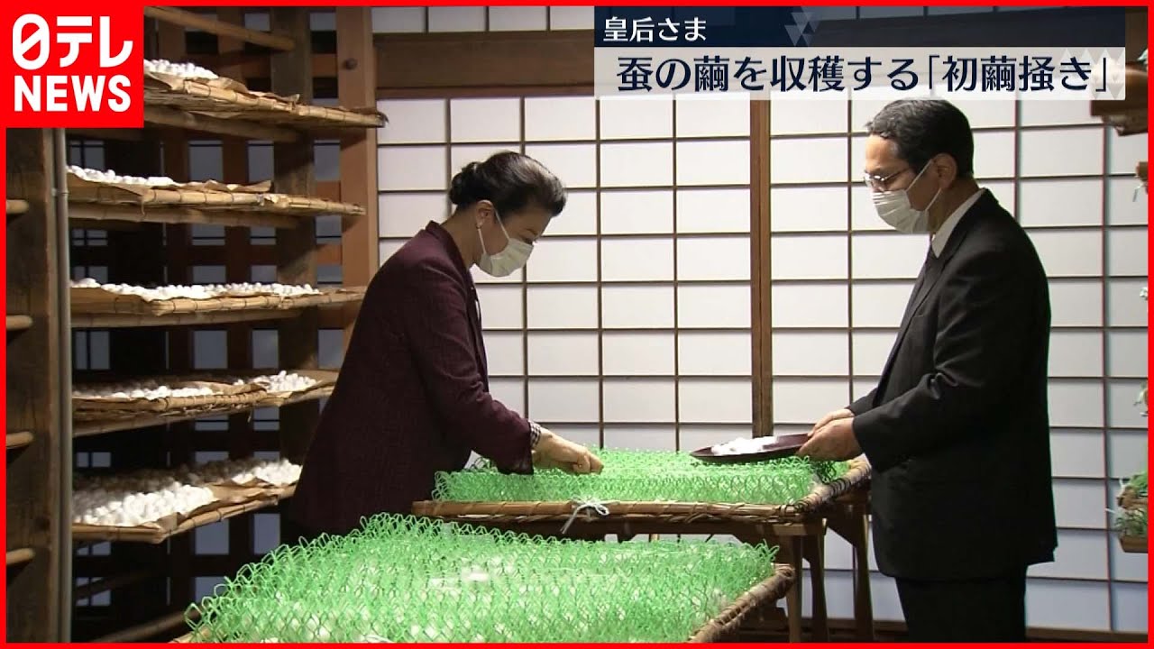 【皇室】皇后さま　蚕の繭を収穫する「初繭搔き」今年のご養蚕公開は初