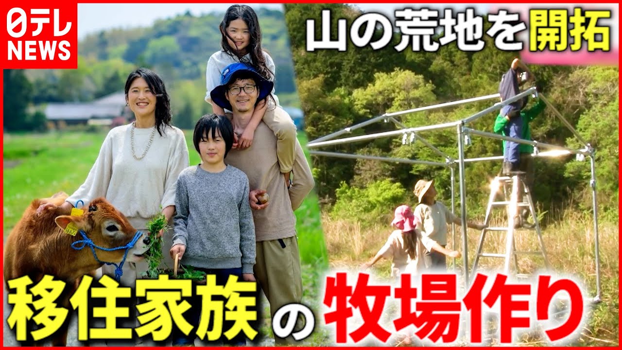 【東京から移住】 “山の荒れ地“を牧場に！移住家族４人の挑戦『news every.』16時特集
