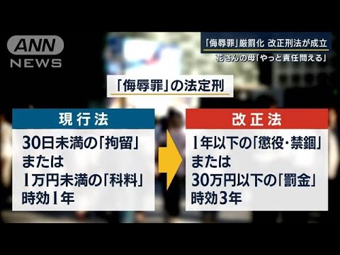 『侮辱罪』厳罰化 改正刑法が成立　野党「言論の自由が委縮する」という懸念も　(2022年6月13日)