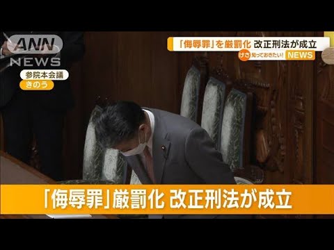 ネット上の誹謗中傷も・・・「侮辱罪」を厳罰化　改正刑法が成立　木村花さん母「やっと」(2022年6月14日)