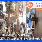 「正直、こんなに増えてしまうとは」千葉・八街市で犬221頭を虐待か　飼い主の63歳女を書類送検｜TBS NEWS DIG