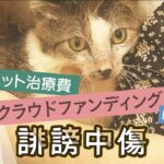 【猫の治療費】「本当に病気なのか」「詐欺まがい」ペットの治療費クラファンに『誹謗中傷』…送る側の主張「ペットは生活に必ず必要なものではない」（2022年6月13日）