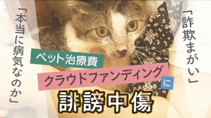 【猫の治療費】「本当に病気なのか」「詐欺まがい」ペットの治療費クラファンに『誹謗中傷』…送る側の主張「ペットは生活に必ず必要なものではない」（2022年6月13日）