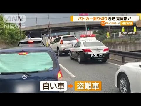 “盗難車”パトカー振り切り逃走・・・「覚醒剤」も所持(2022年6月15日)