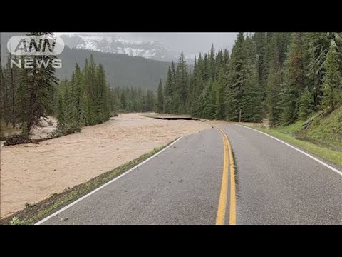 米イエローストーン国立公園で記録的大雨　周辺の住宅が破壊　道路や橋も被害(2022年6月15日)