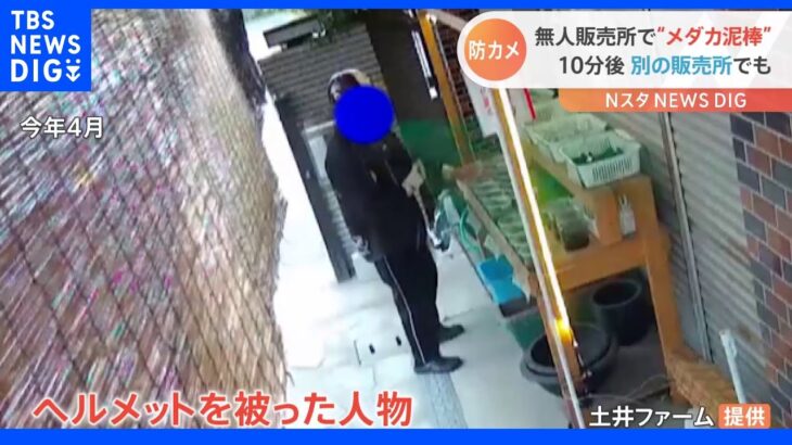 店舗をはしごして盗難か防カメがとらえたヘルメット姿の“メダカ泥棒”｜TBS NEWS DIG