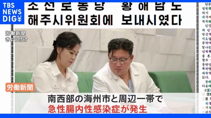 金正恩氏“家の薬を提供”「急性腸内性感染症」北朝鮮で発生 「腸チフス・コレラなどの可能性も」韓国メディア｜TBS NEWS DIG