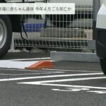 遺体は身長約４０ｃｍの女児…紙袋から“生後間もない赤ちゃん”今年４月ごろに死亡か(2022年6月17日)