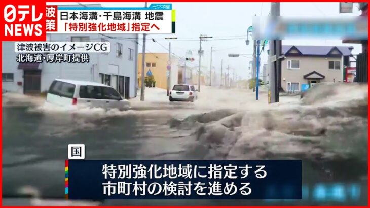 【日本・千島海溝地震】津波対策「特別強化地域」指定へ