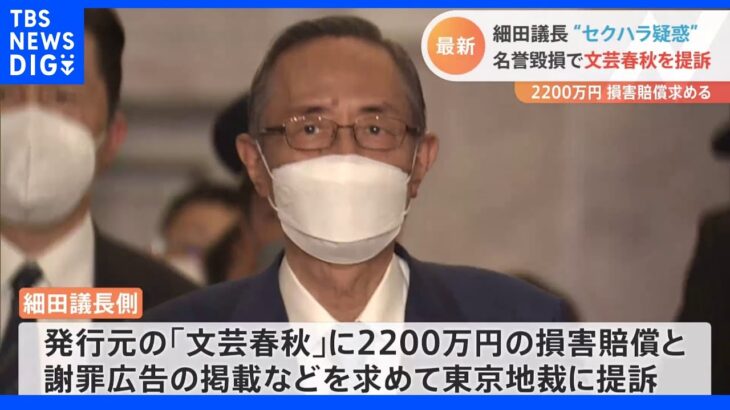 細田衆議院議長 セクハラ疑惑「事実無根」 文芸春秋を提訴｜TBS NEWS DIG