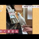 鳥の名セッション　ピアノもアニソンも何でもござれ！？(2022年6月17日)
