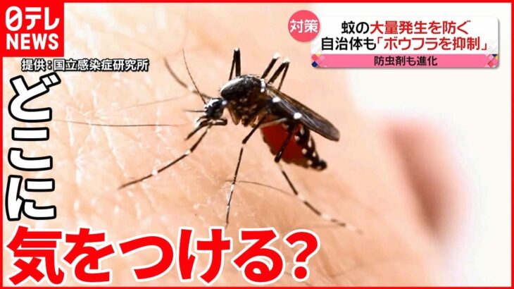 【専門家に聞く】「蚊の大量繁殖」防ぐには？ 夏を前に…発生源をチェック