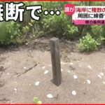 【ペット墓地】海岸に無断で… 軽犯罪法や条例に違反も