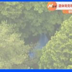 茨城・山林で都内在住の行方不明女性遺体　ドラレコ解析で遺棄現場そばの林道走行を確認｜TBS NEWS DIG