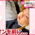 【スヤスヤ】動物園で寝ちゃう男の子「寝てる場合じゃないよ、なんで寝れるの！」