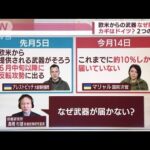 【解説】欧米からウクライナへ提供の武器“停滞”の理由は？(2022年6月20日)