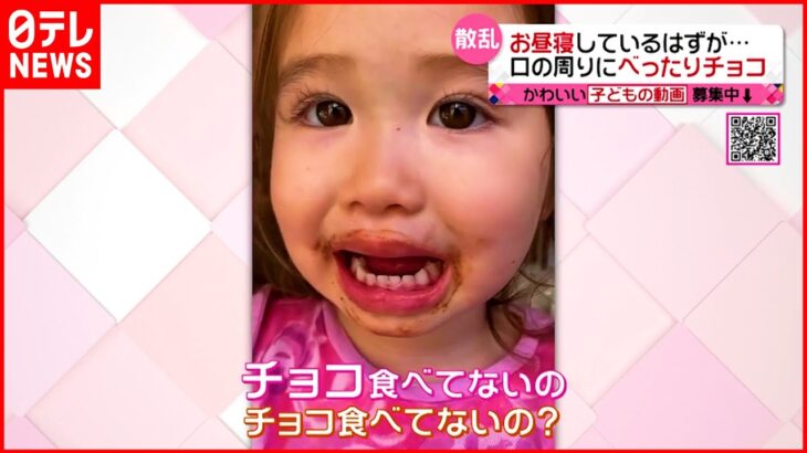 【べったりチョコ】床にお菓子の袋が散乱！いったい誰が食べた？