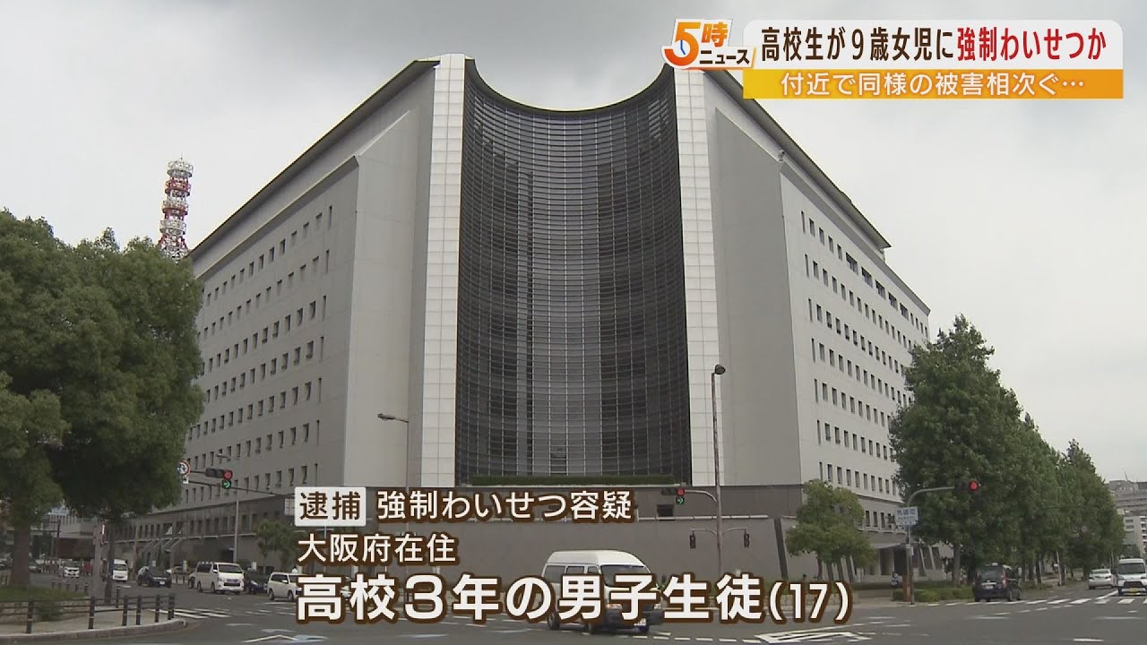 「お尻に砂がついているよ」17歳高校生を9歳女児への強制わいせつ容疑で逮捕(2022年6月20日)