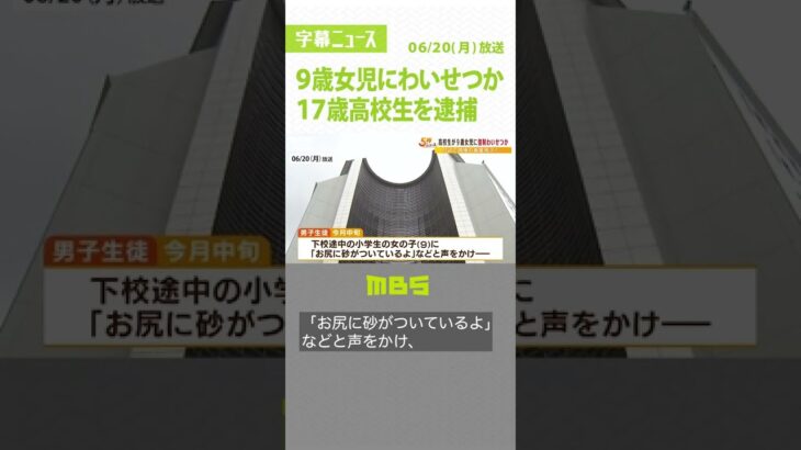 「お尻に砂がついているよ」１７歳高校生を９歳女児への強制わいせつ容疑で逮捕（2022年6月20日）#Shorts#男子高校生