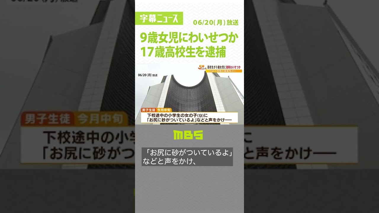 「お尻に砂がついているよ」17歳高校生を9歳女児への強制わいせつ容疑で逮捕(2022年6月20日)#Shorts#男子高校生