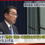 【岸田首相と会談】黒田総裁「急激な円安は好ましくない」