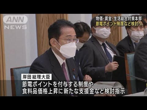 総理　節電ポイント支援策の検討を指示　物価高対策初会合(2022年6月21日)