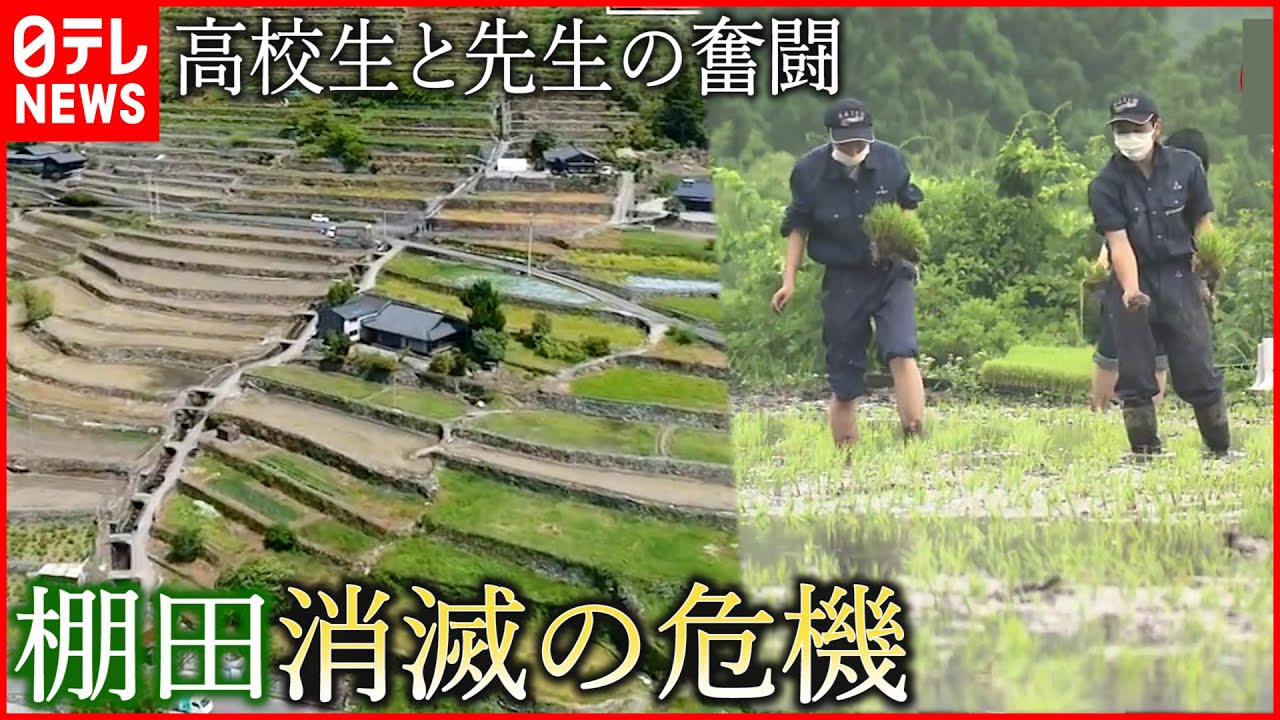 【消滅の危機】”東予の千枚田”を守る!高校生と先生の奮闘 愛媛 NNNセレクション