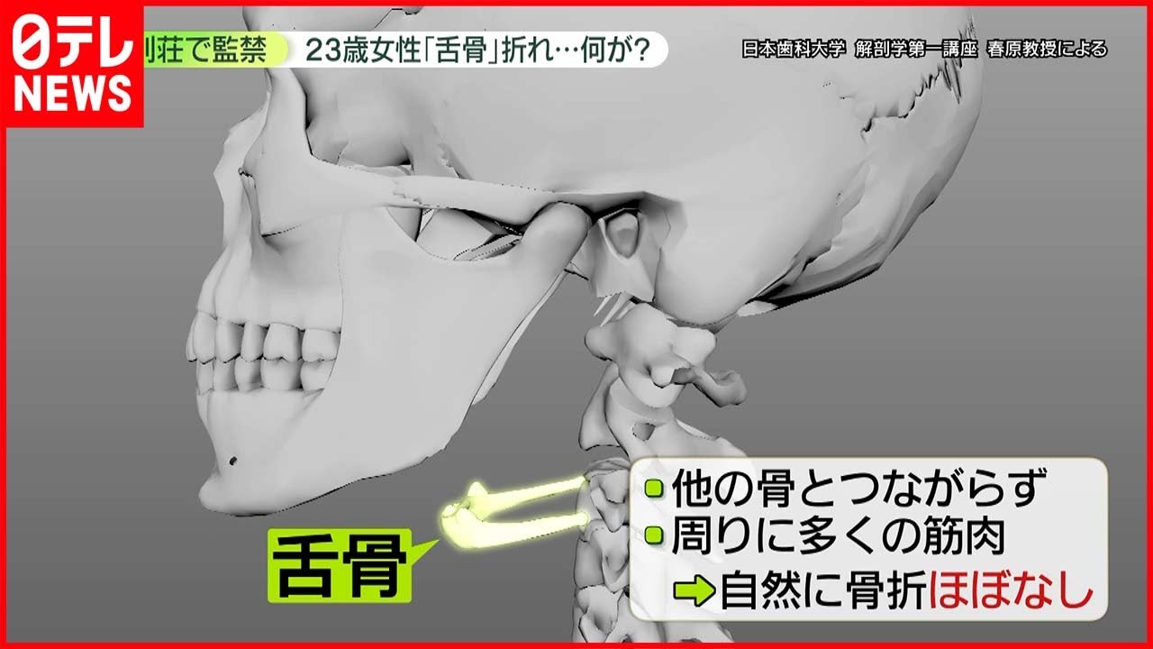 【林道に女性遺体】女性「舌骨」を骨折… “外から強い力”加わったか
