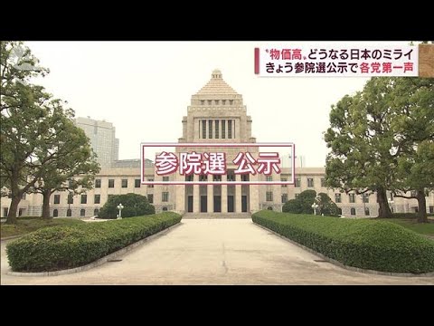 値上げラッシュでも上がらない給与　経済対策は？　参院選公示で各党首が第一声(2022年6月22日)